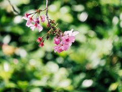 -乌山风景区