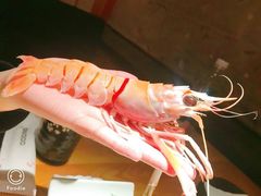 新西兰鳌虾-王鼎精致料理铁板烧(世博源店)