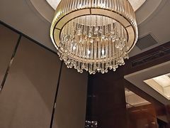 -豪廷轩中餐厅·特色云南菜(温德姆至尊豪廷大酒店)