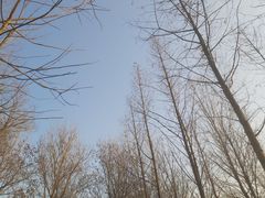 -蜜雪冰城(宝龙广场店)