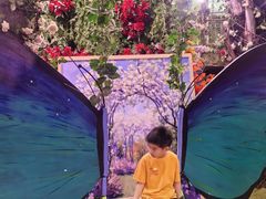 -正佳雨林生态植物园