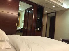 -圣爵菲斯大酒店(长沙世界之窗店)