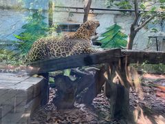 -广州长隆野生动物世界