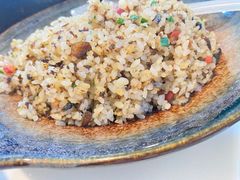 -蘑统田下·野生菌火锅