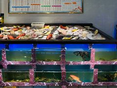 水产区-长平肥姐白粥·海鲜打冷