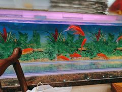 -伙工殿餐厅(吉大店)