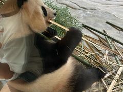 -杭州野生动物世界