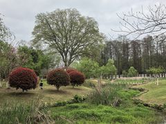 -青龙山国家森林公园
