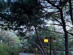 -北陵公园