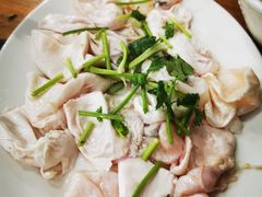 鱼泡-秦记南岗鱼锅(珠吉路店)