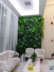 -苗医生草本科技祛痘