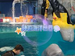 -威海华夏城景区