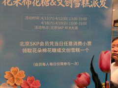 -北京SKP