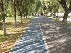-万泉公园