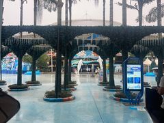 -海合安成都极地海洋公园