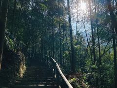 -龙湾潭国家森林公园