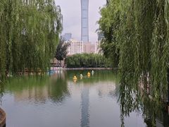-团结湖公园