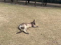 -上海野生动物园