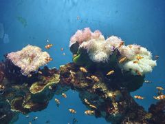 -海合安武汉极地海洋公园