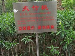 -莲湖公园