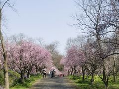 -上海海湾国家森林公园