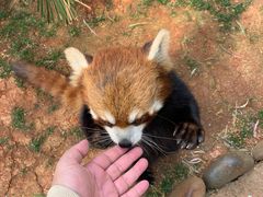 -云南野生动物园