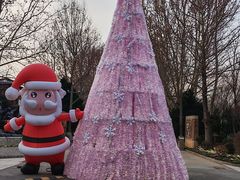 -南宫温泉水世界