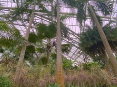 -南山植物园