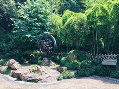 景点-杭州黄龙洞