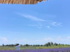 -赛里木湖风景名胜区