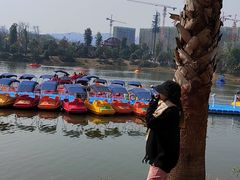 -枫香湖儿童公园