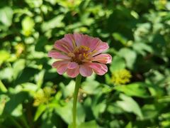 -杜氏旅游度假区