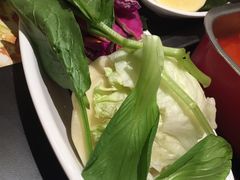 -新辣道鱼火锅(领展购物广场·中关村店)