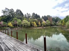 -和顺柏联温泉