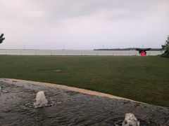 -苏州苏州湾艾美酒店·乐美中餐厅