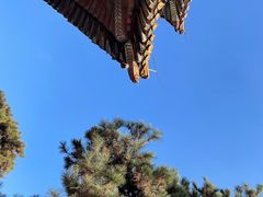 -北陵公园