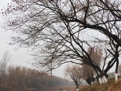 -赵州桥景区