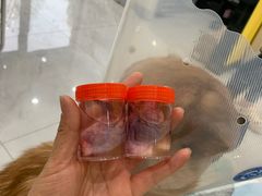 -瑞派·爱瑞可动物医院·口腔专科(广华新城分院)