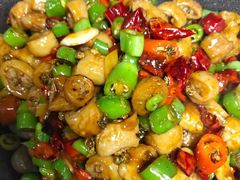 -老板恋上鱼(高新万达店)
