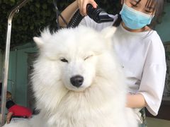 -汪说喵讲宠物乐园宠物酒店(红星美凯龙店)