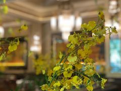 大堂-福楼法餐厅FLO