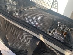 -萌兽医馆·绝育·24小时内科·宠物医院(德胜店)