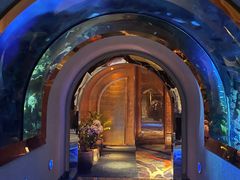 -迪拜帆船酒店海底餐厅