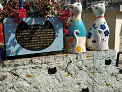 -猫咪博物馆(顶澳仔猫街店)