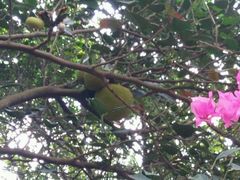 android_upload_pic-大沙河公园