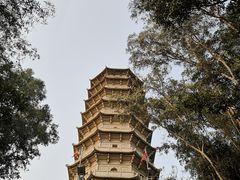 -深圳国际园林花卉博览园