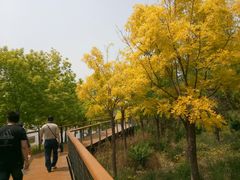 -东郊湿地公园