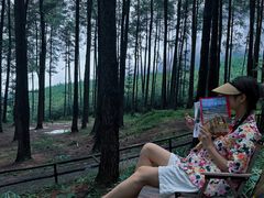 -重庆睡佛山森林公园