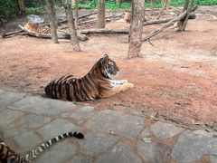 -云南野生动物园