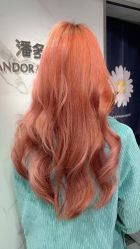 -潘多拉Hairsalon